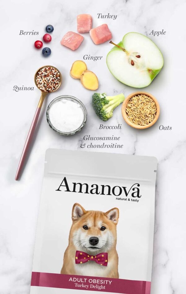 Foto de ingredientes principales de pienso para perros con obesidad
