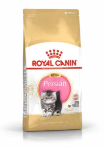 pienso para gatitos persian