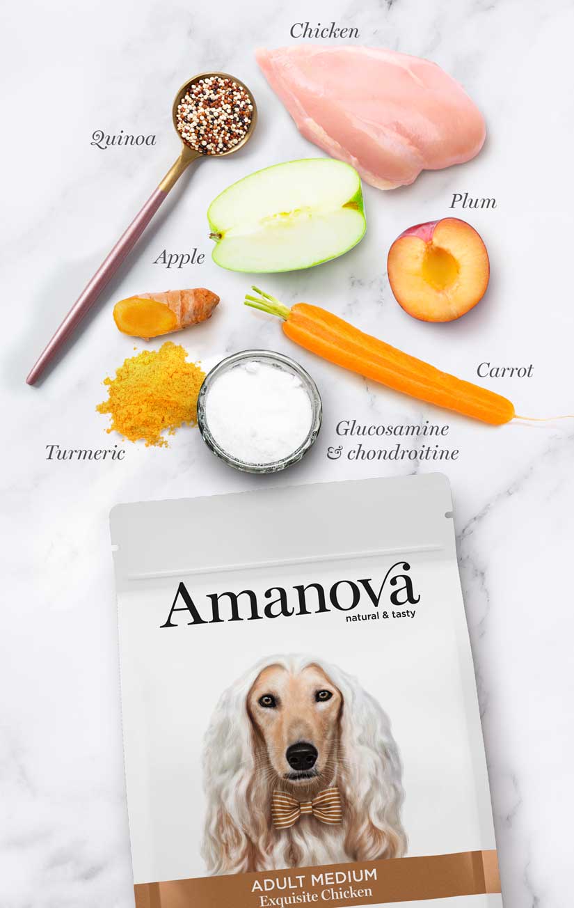 AMANOVA - Adult Medium Exquisite Chicken Quinoa LOW GRAIN RECIPE - Imagen 2