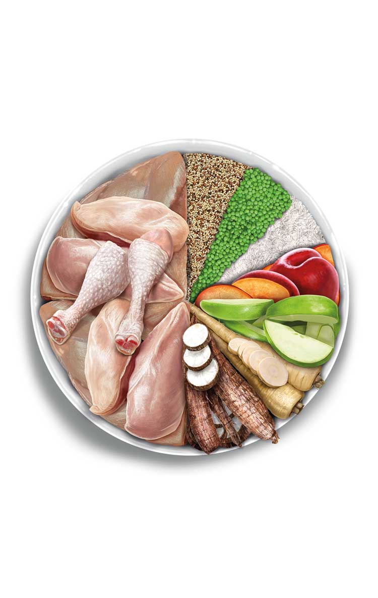 AMANOVA - Adult Medium Exquisite Chicken Quinoa LOW GRAIN RECIPE - Imagen 4
