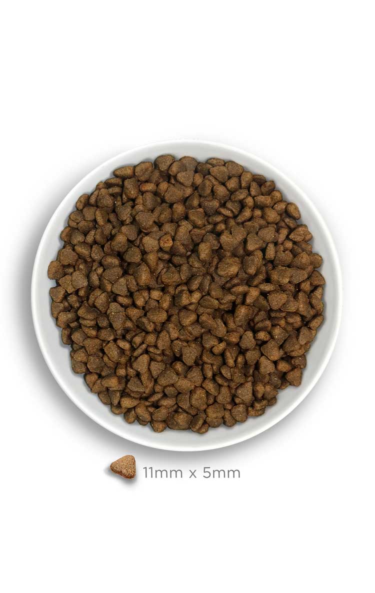 AMANOVA - Adult Mini Sensitive Salmon GRAIN FREE - Imagen 4