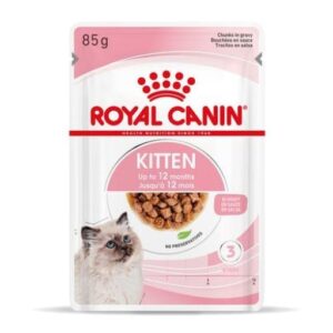 ROYAL CANIN CAT - KITTEN Hasta los 12 meses 
In Gravy